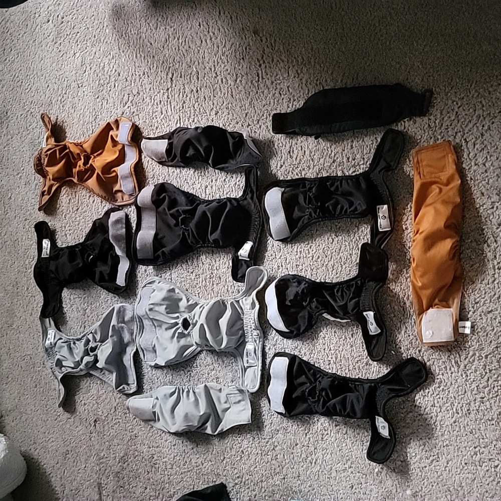 Used Male Diapers and Wraps. Small and X small